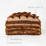 【店頭受取】ジニアショコラ